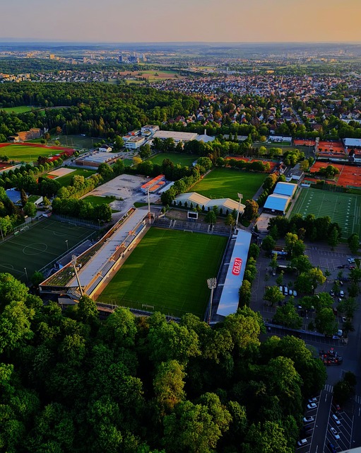 羅德裏繼承 羅德裏繼承